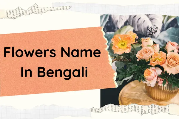 List of All Flowers Name In Bengali