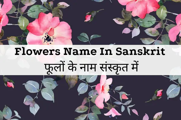 Flowers Name In Sanskrit and Hindi With Pictures