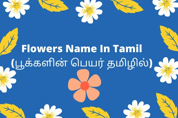 Flowers Name In Tamil