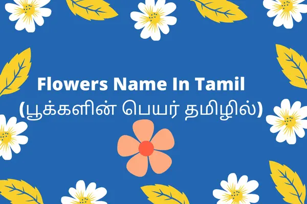 blog-flowers-names