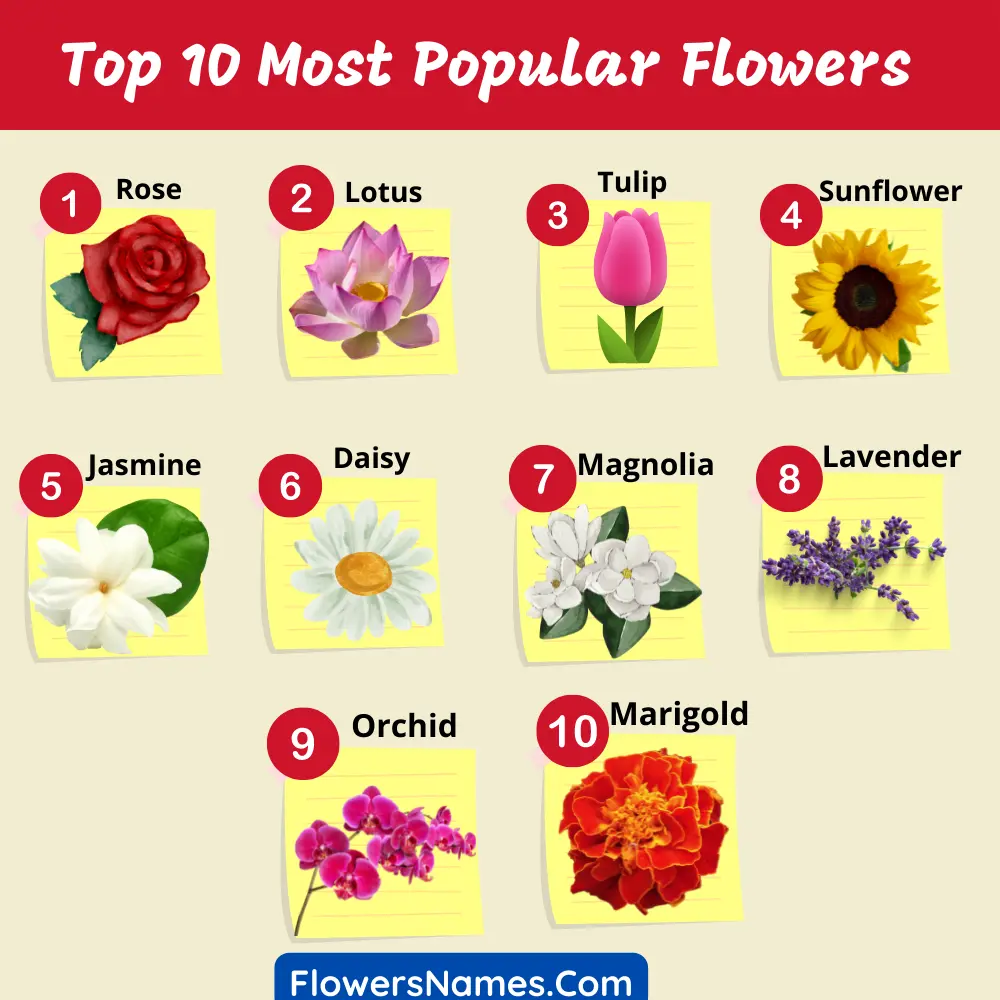 Top 10 Most Popular Flowers Infographic