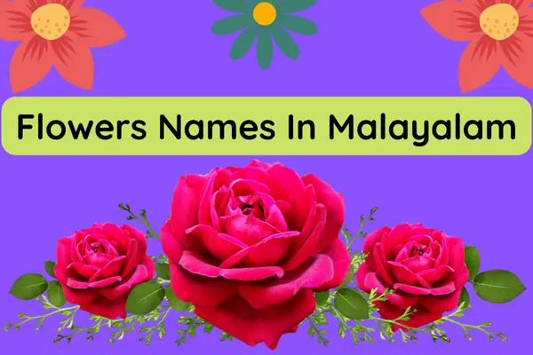 Popular Flowers Names In Malayalam 