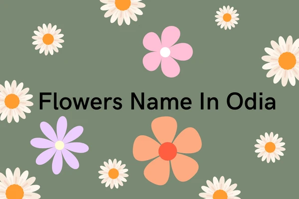 List of Flower Names In Odia