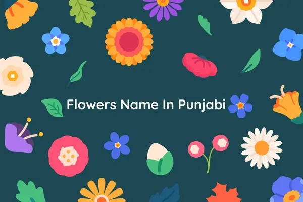 List of Flowers Name In Punjabi