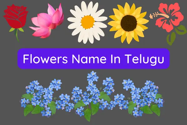 List of Flowers Name In Telugu