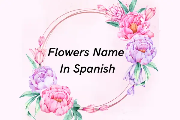 Flowers Name In Spanish and English