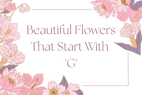 names list flowers that start with g