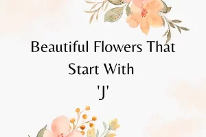 Flowers That Start With J