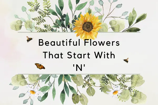 Flowers That Start With N