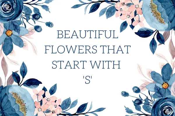 Flowers That Start With S