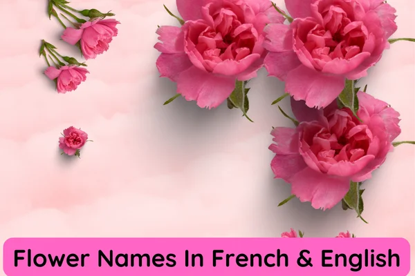 Flower Names In French